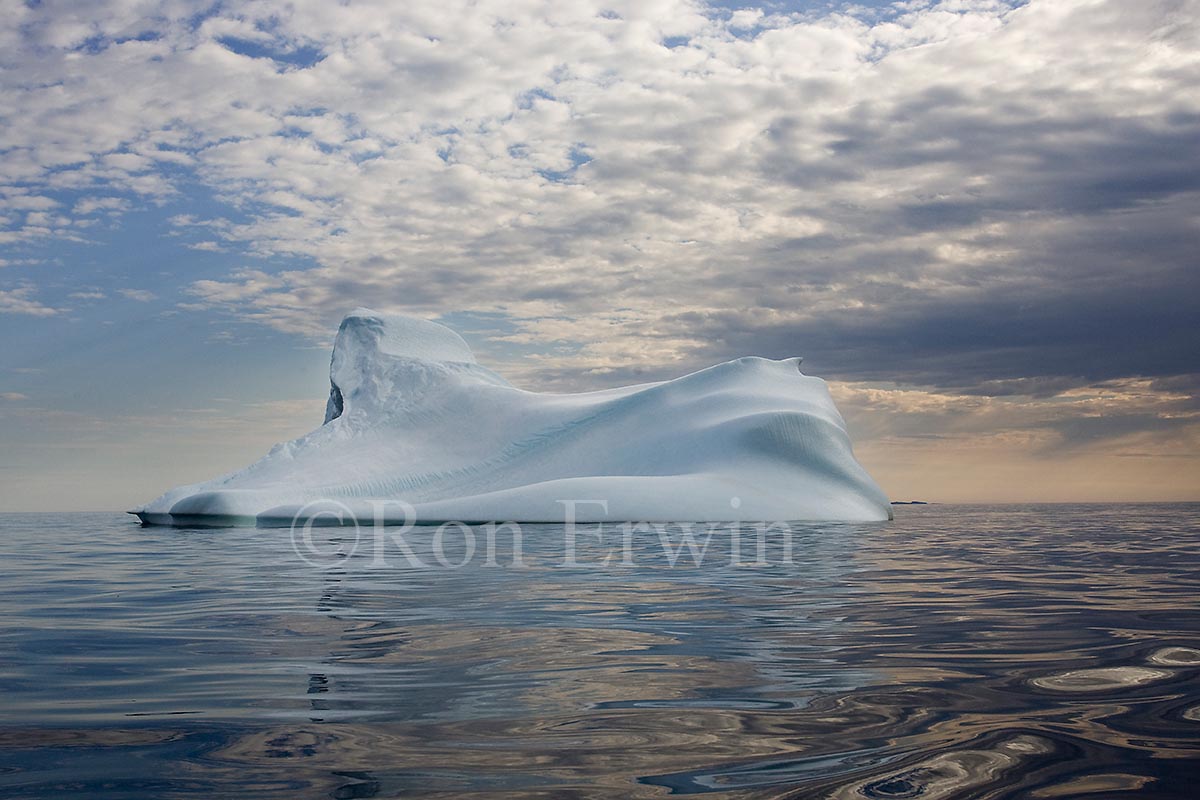 Labrador Iceberg