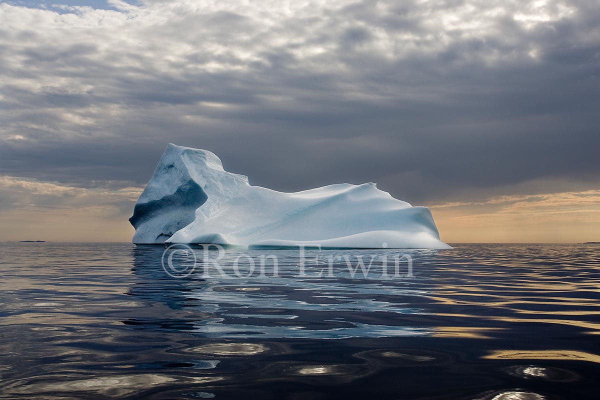 Labrador Iceberg