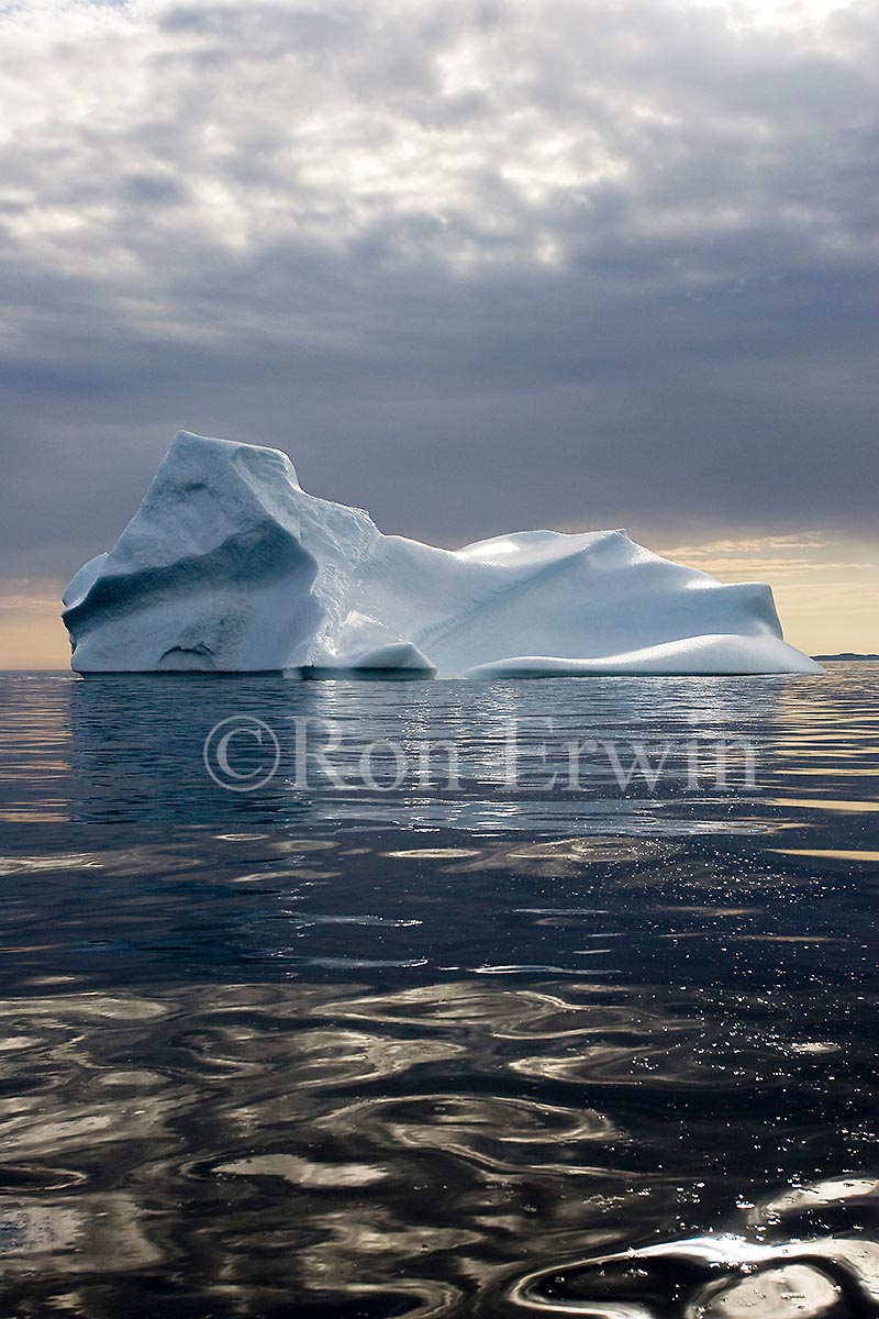 Labrador Iceberg