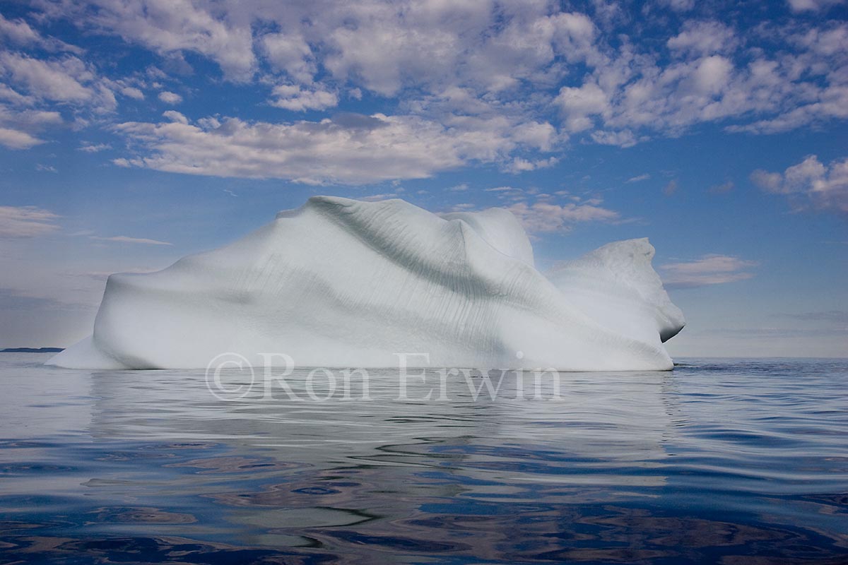 Labrador Iceberg