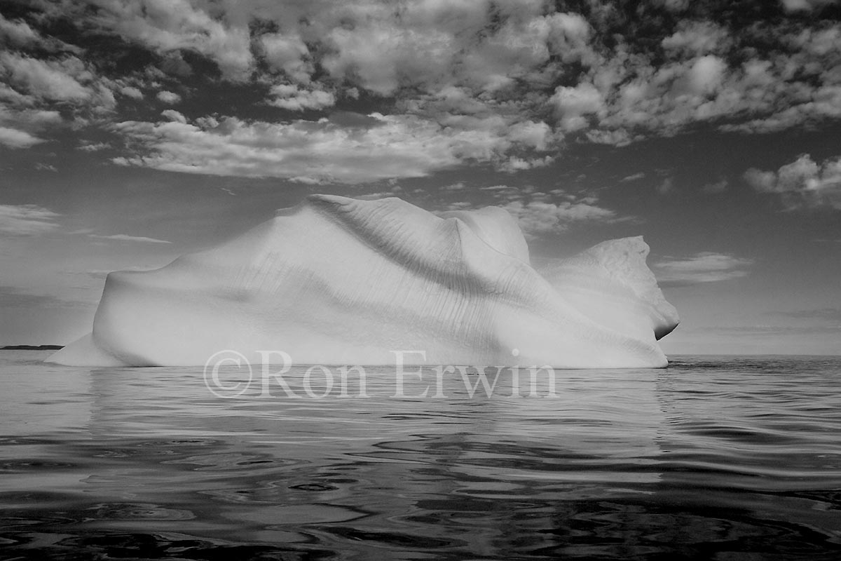 Labrador Iceberg
