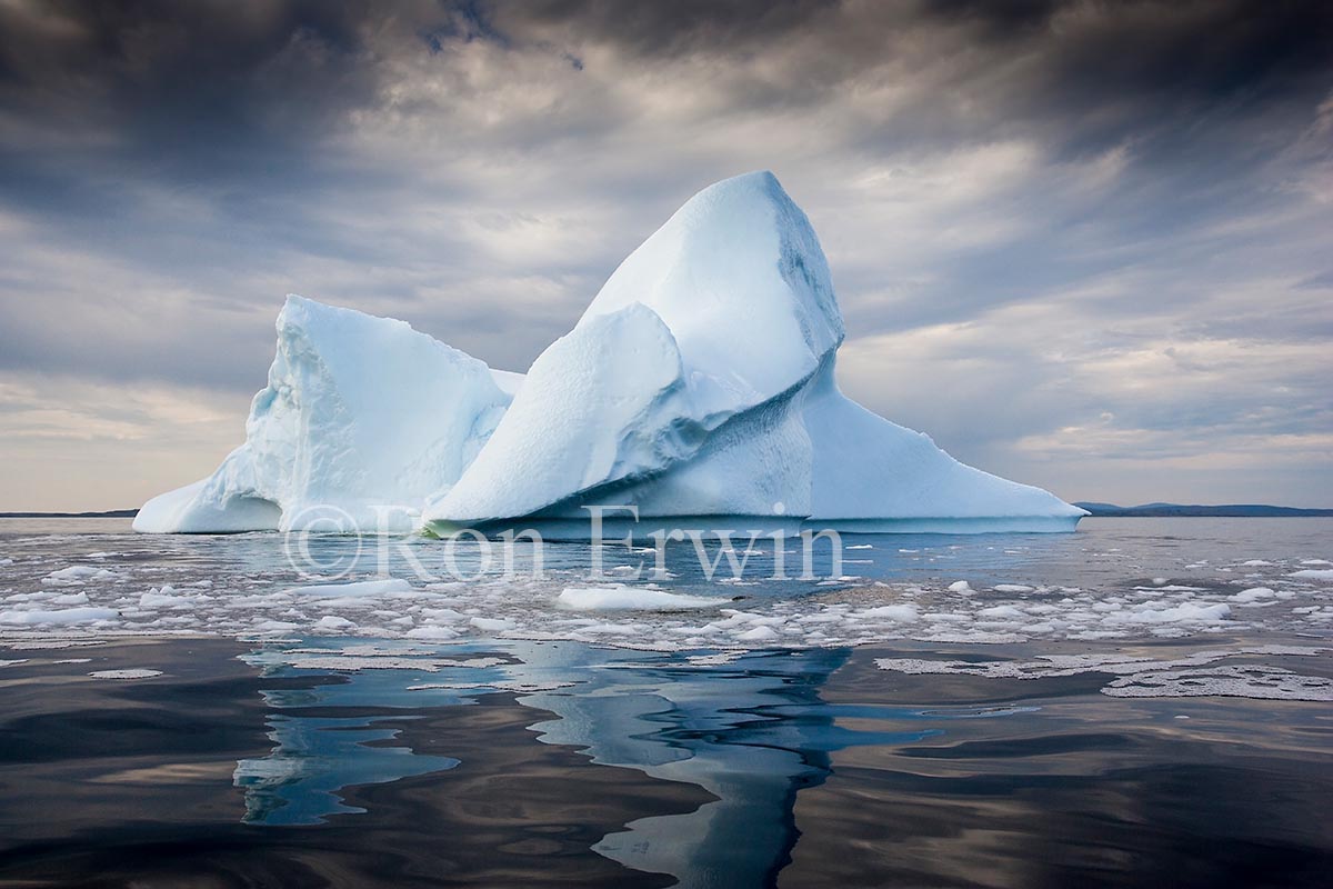 Labrador Iceberg