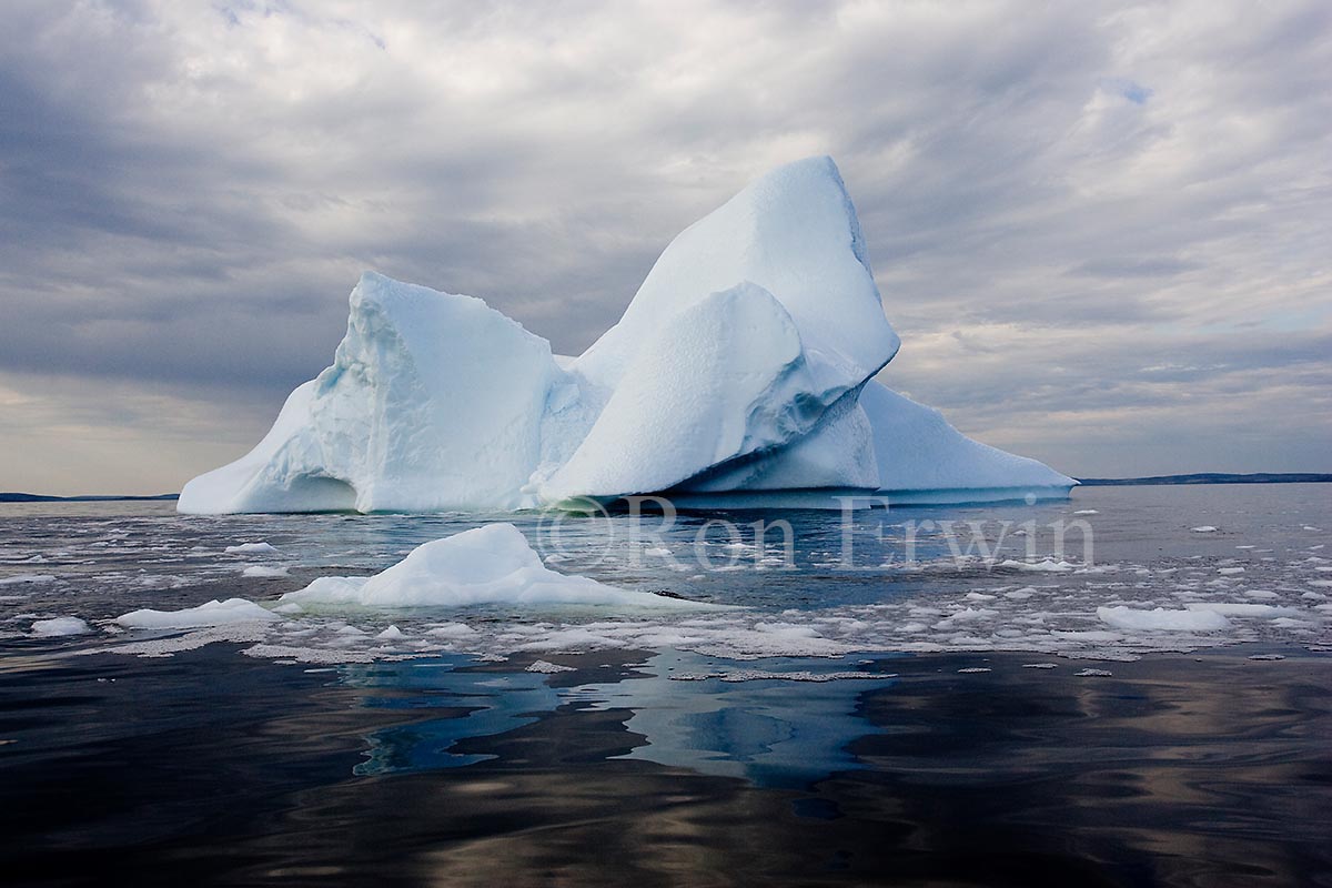Labrador Iceberg