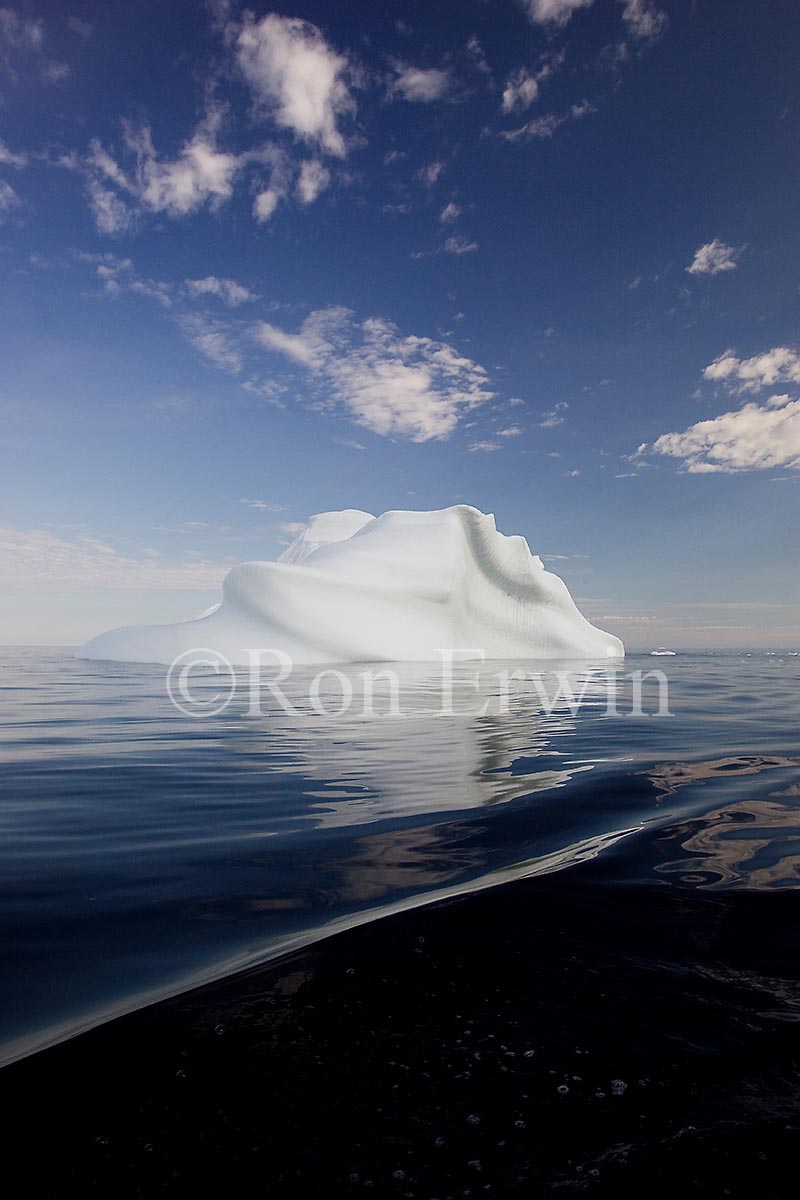 Labrador Iceberg