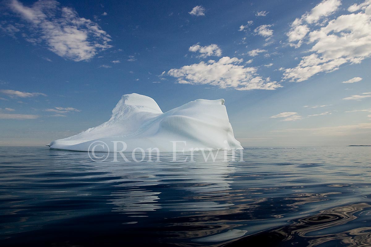 Labrador Iceberg