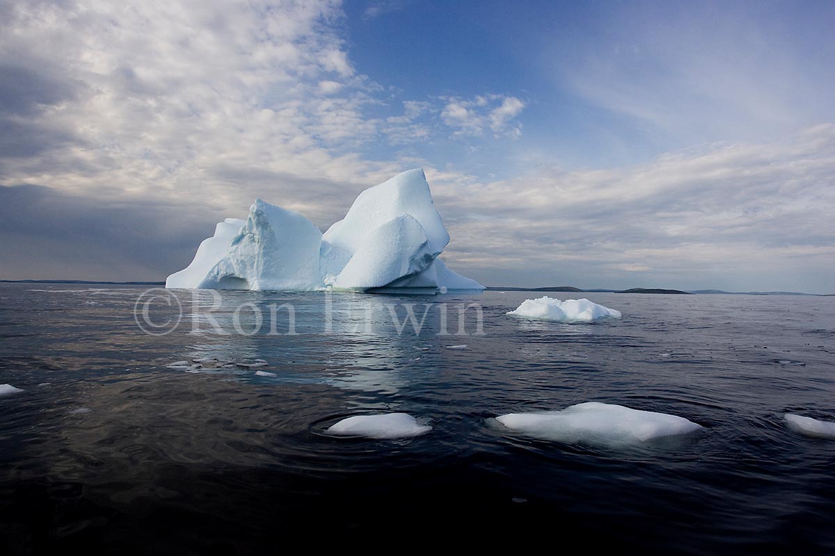 Labrador Iceberg