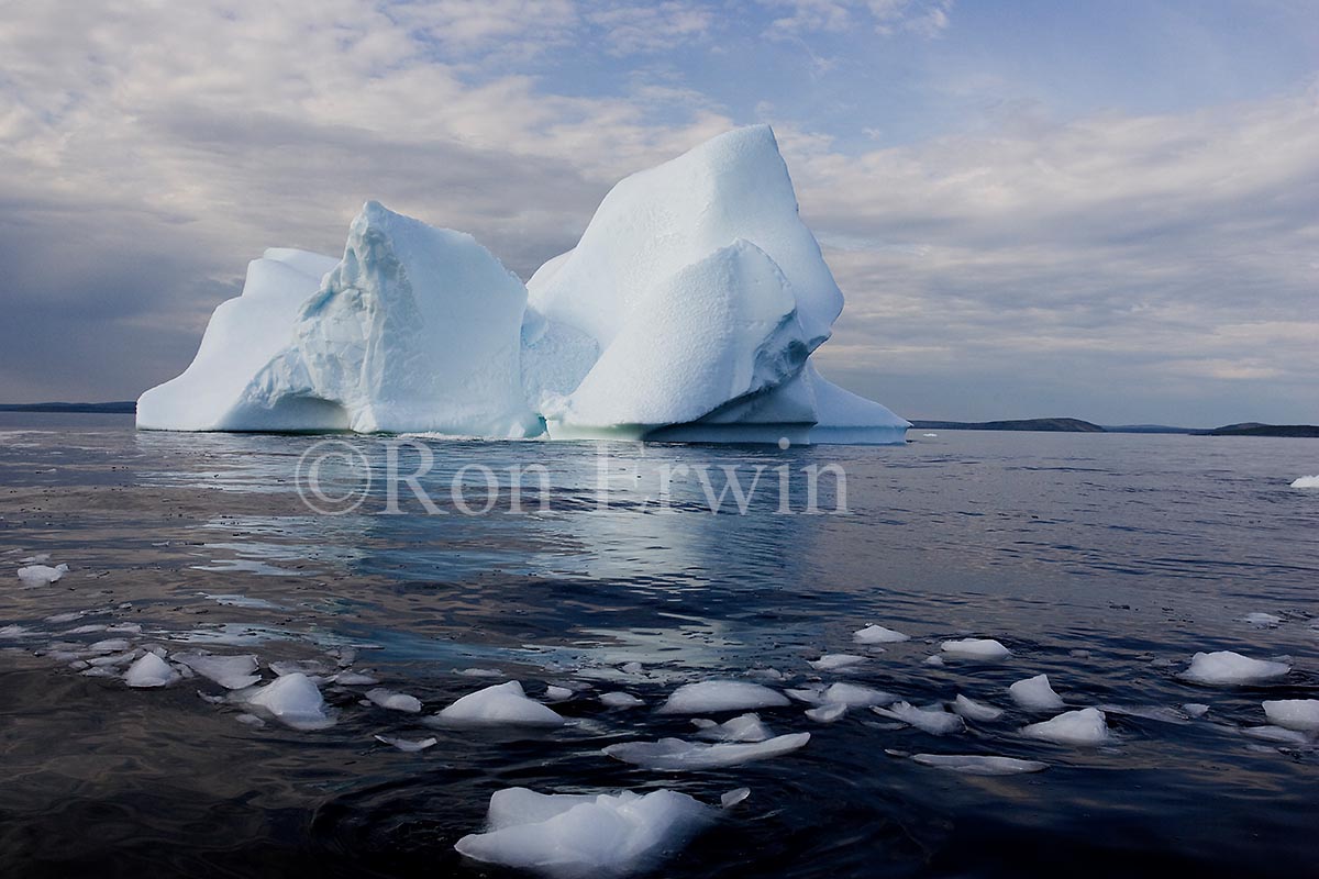 Labrador Iceberg