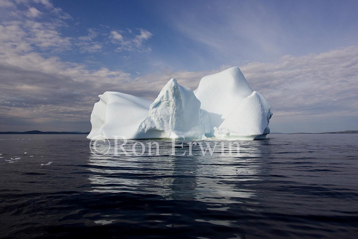 Labrador Iceberg