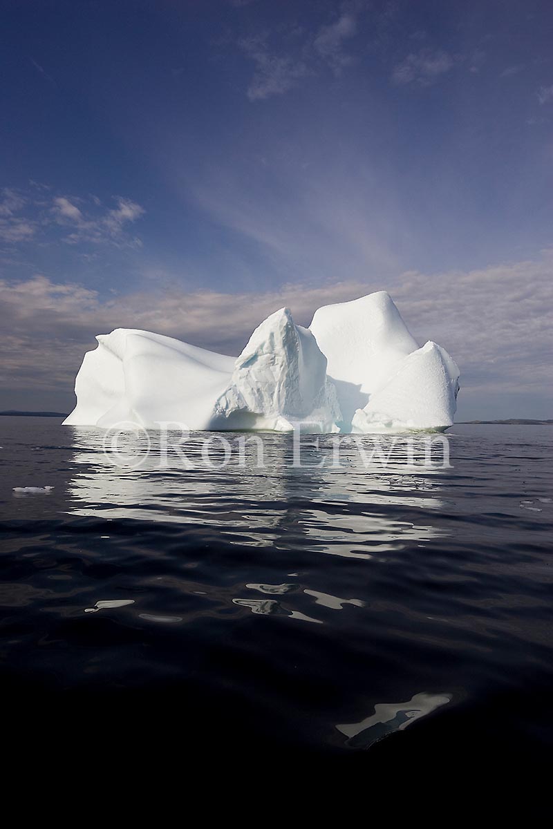 Labrador Iceberg