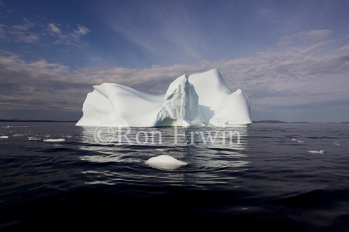 Labrador Iceberg