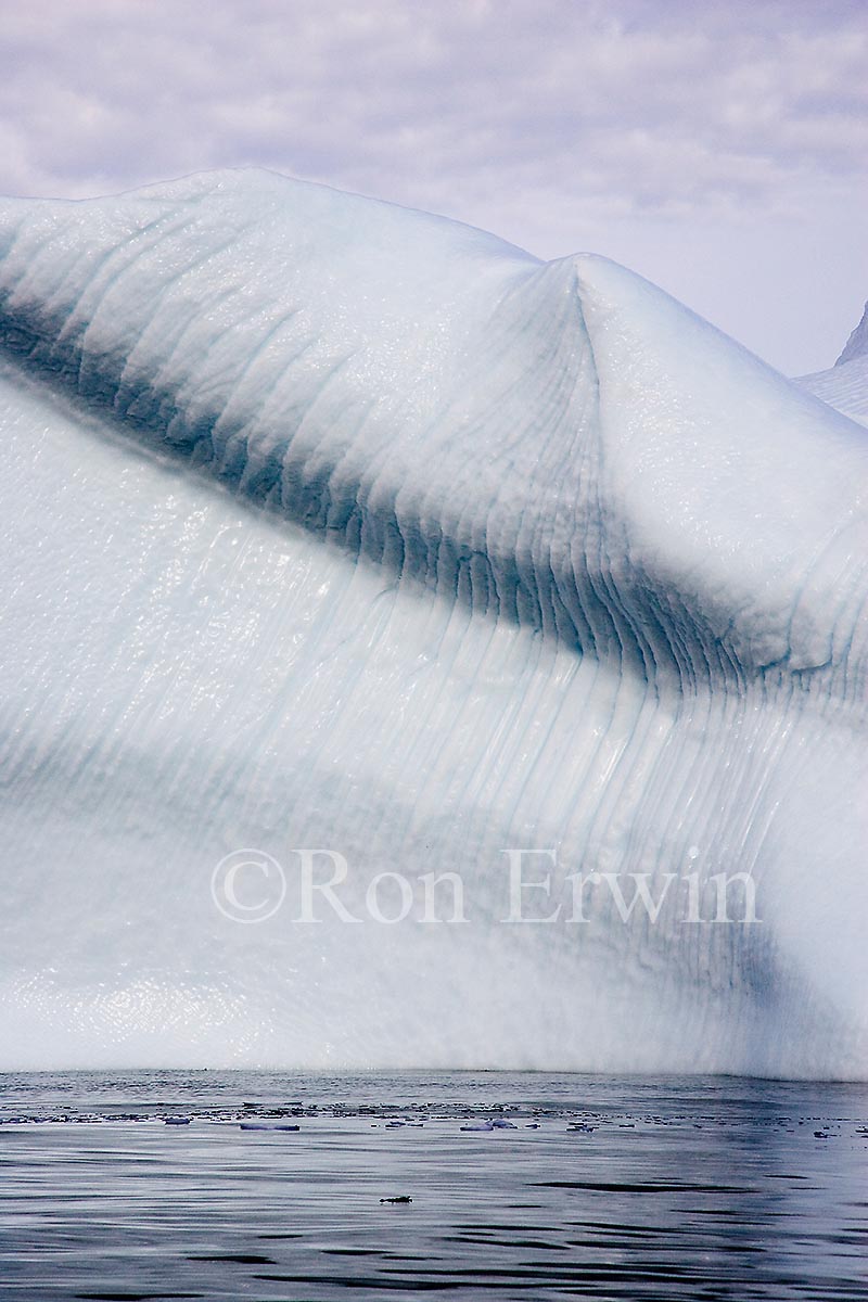 Labrador Iceberg
