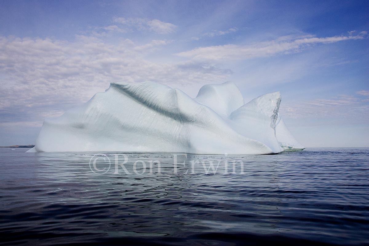 Labrador Iceberg