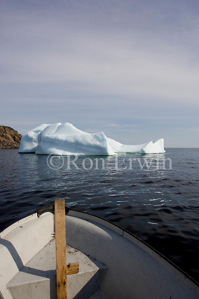 Iceberg