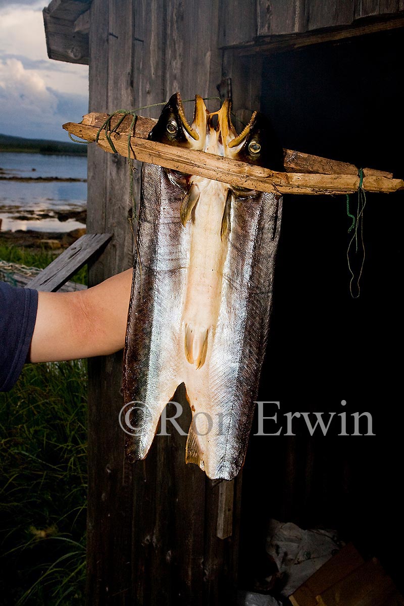 Smoked Fish