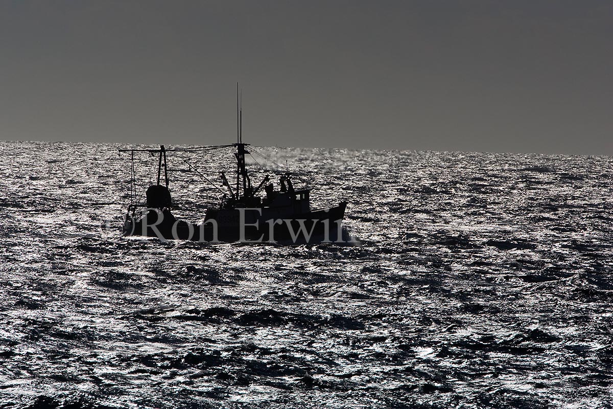 Fishing Boat, NL