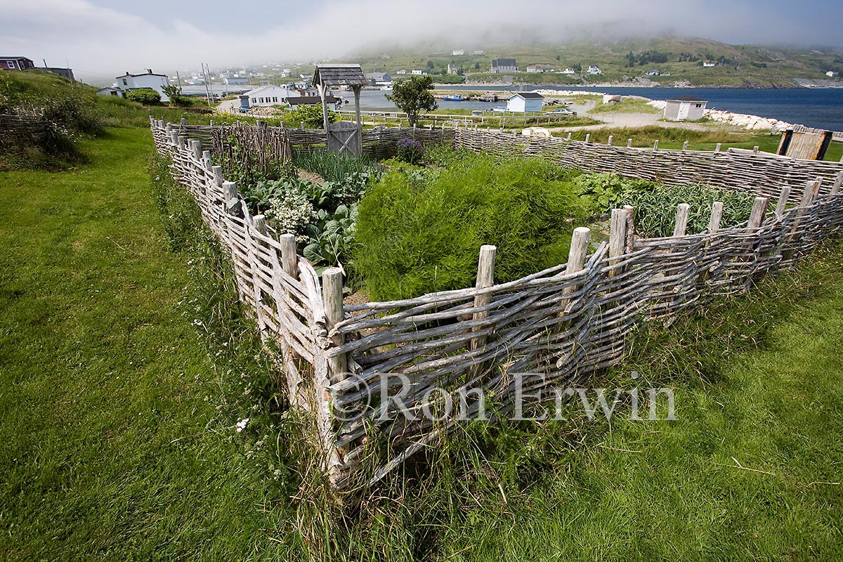 Kitchen Garden, NL