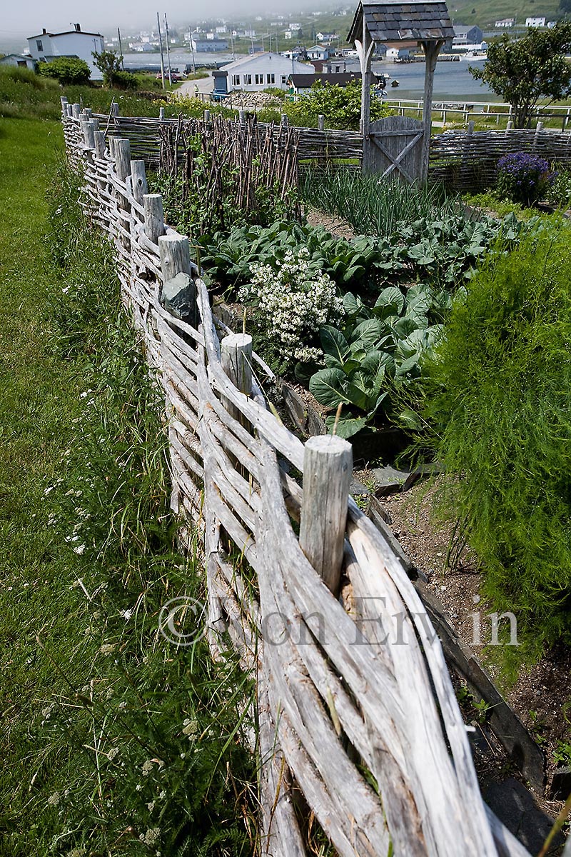 Kitchen Garden, NL