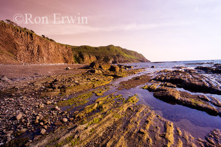 Green Gardens, Gros Morne National Park, NL