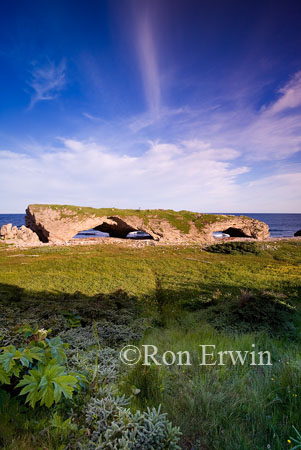 Arches Provincial Park, NL