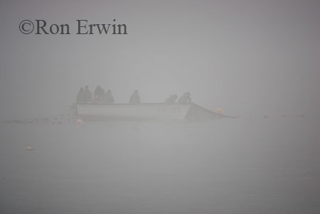 Capelin Fishing, Labrador