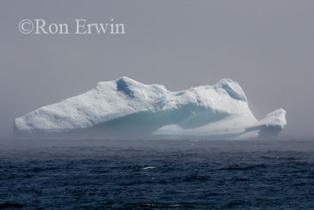 Iceberg, Labrador