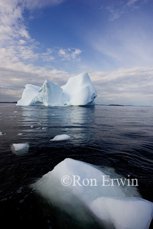 Iceberg, Labrador