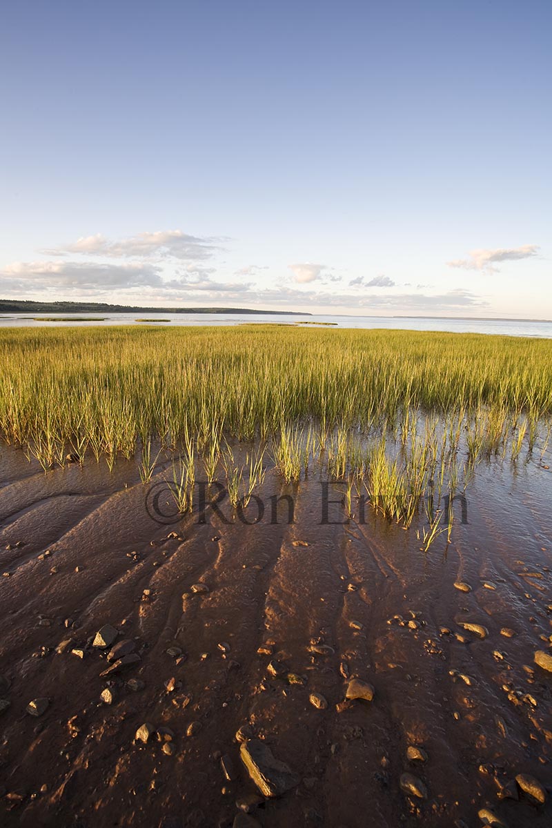 Fundy Mud, NB
