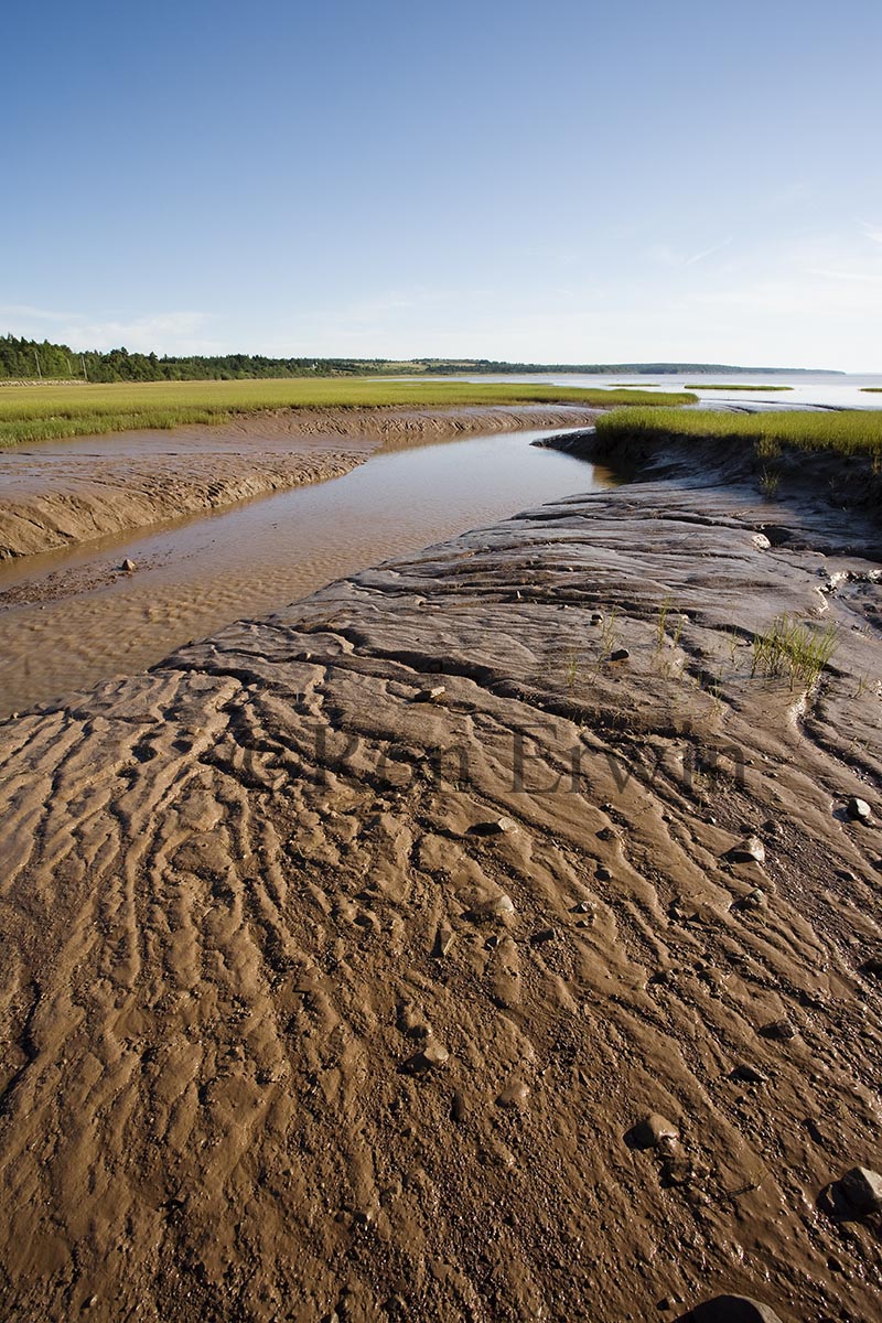 Fundy Mud, NB