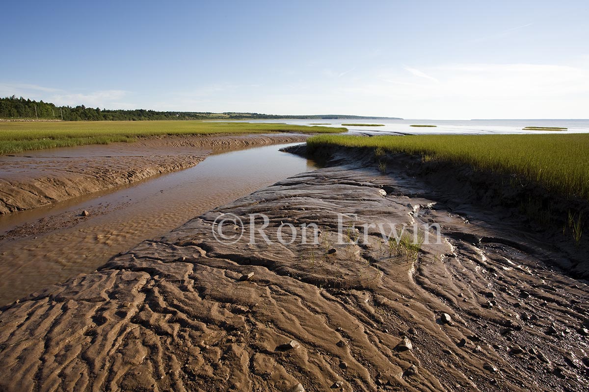 Fundy Mud, NB