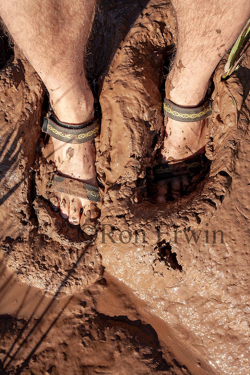 Fundy Mud, NB