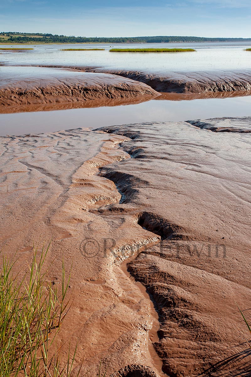 Fundy Mud, NB