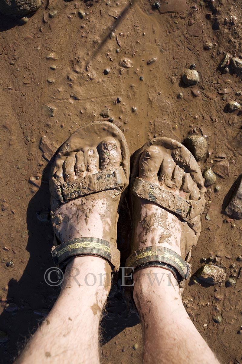 Fundy Mud, NB