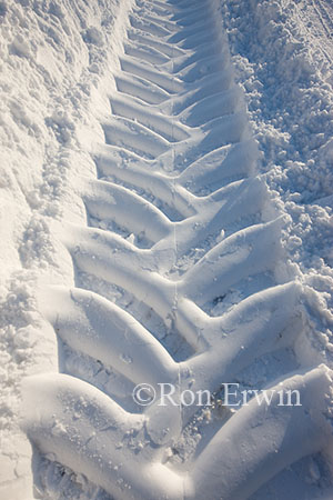 Tire Tracks