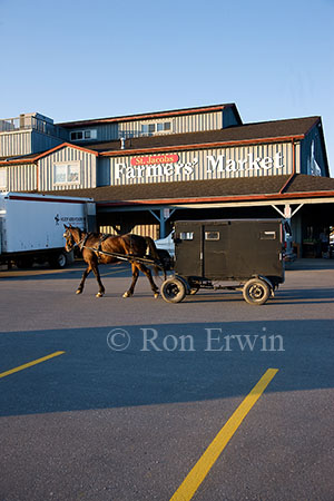 St. Jacobs Farmers Market