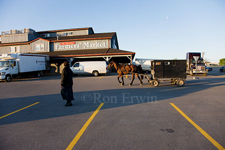 St. Jacobs Farmers Market