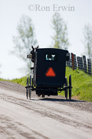 Horse-drawn Carriage