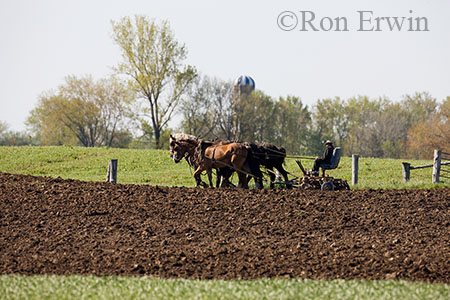 Working the Soil by Horse Team
