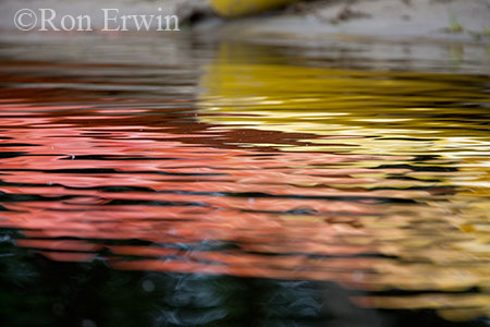 Kayak Reflections