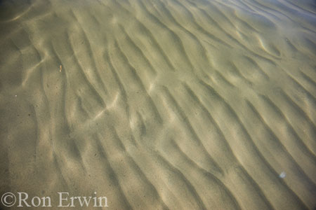 Rippled Sand