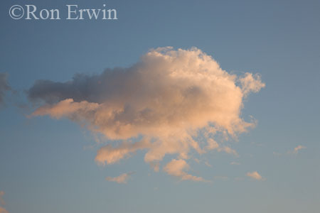 Cumulus Humilis