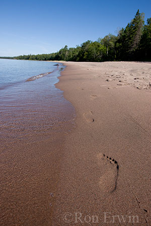 Leave Nothing But Footprints