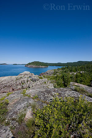 Gargantua Harbour