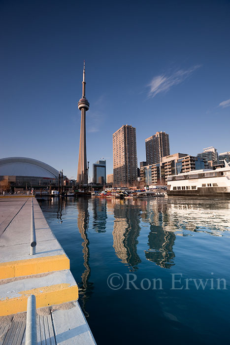 Downtown Toronto Reflection 