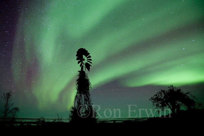 Northern Lights Composite