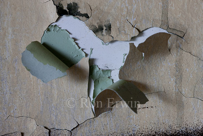 Blistering Paint