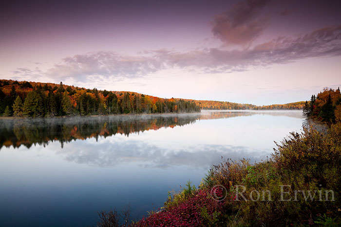 Autumn in Algonquin