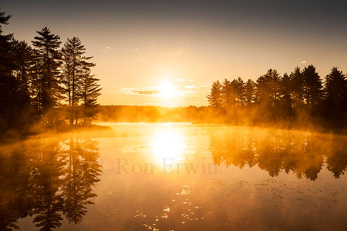 Mew Lake, Algonquin, ON