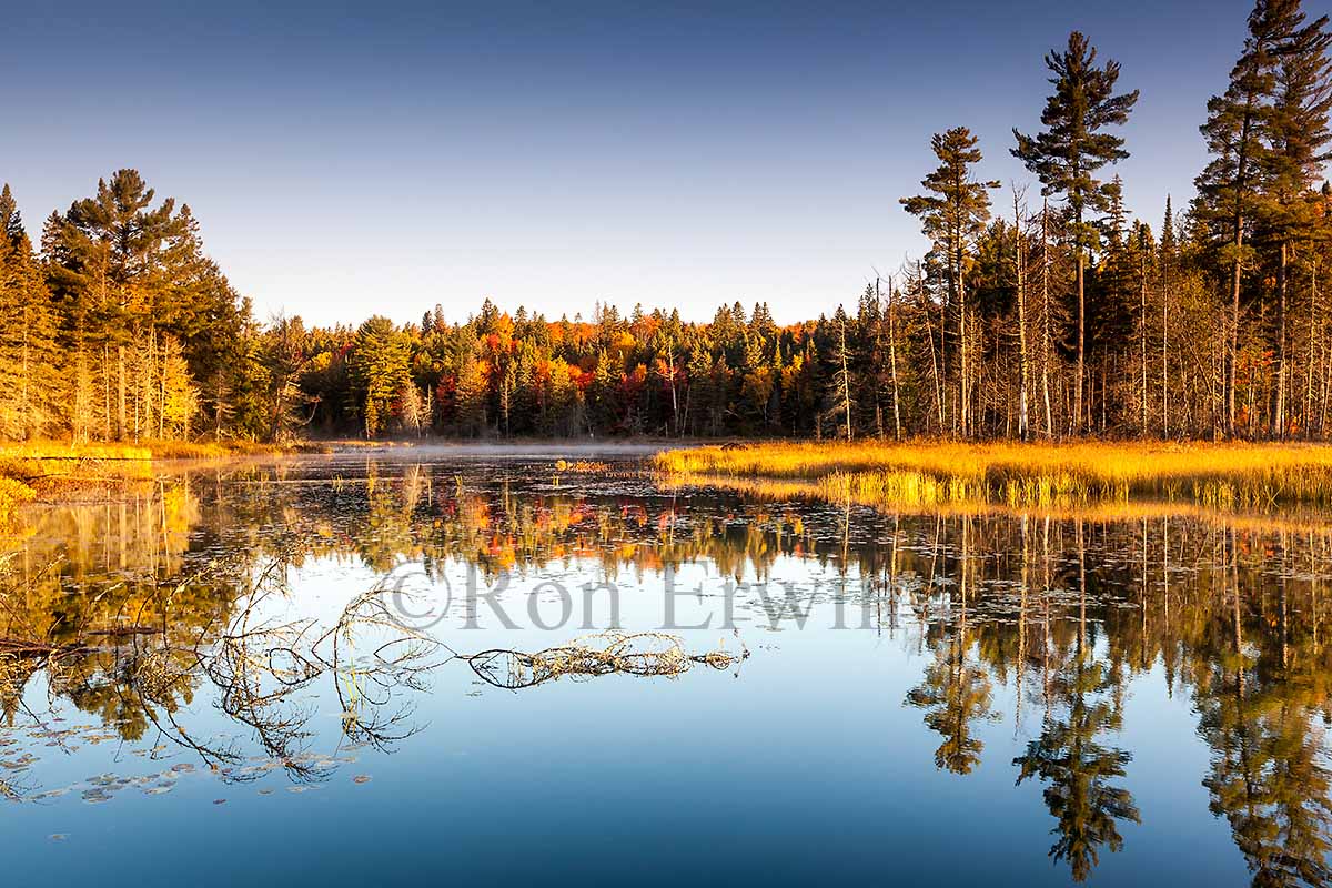 Algonquin Ontario Wetlands