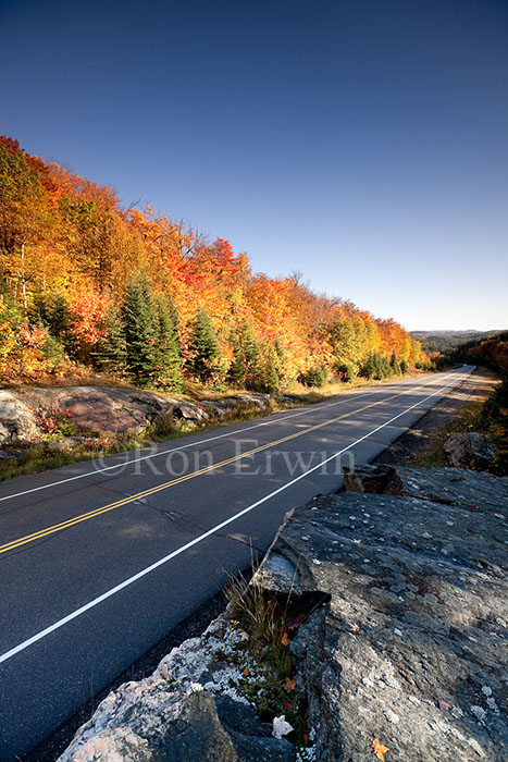 Autumn on Highway 60 in Ontario
