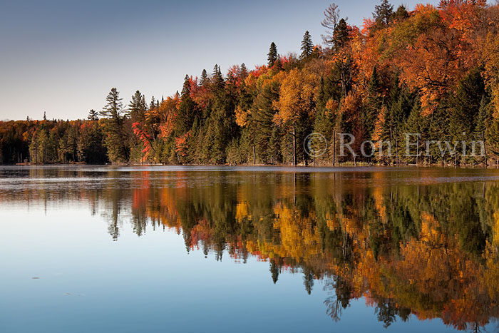 Autumn in Algonquin, ON